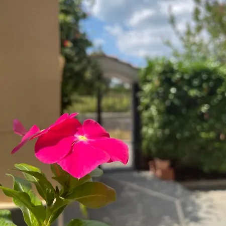 Vesuvius Garden בוסקוריאלה