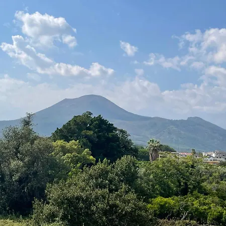 Vesuvius Garden Boscoreale